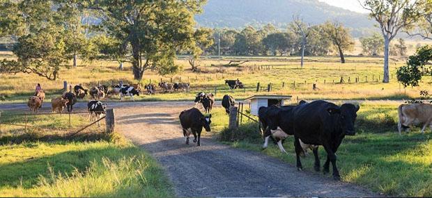 Tommerups Farm Stay Family Accommodation Tommerups Farm Stay Family Accommodation